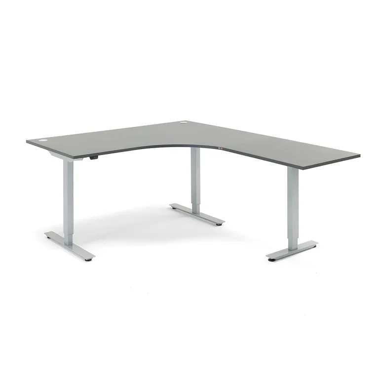 FLEXUS Standing desk