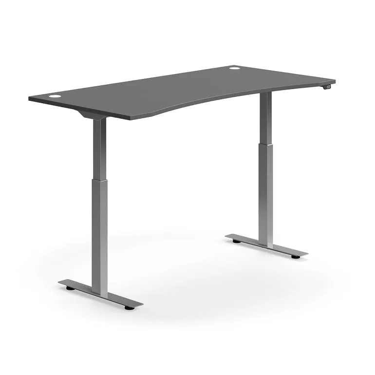 FLEXUS Standing desk — product image 3
