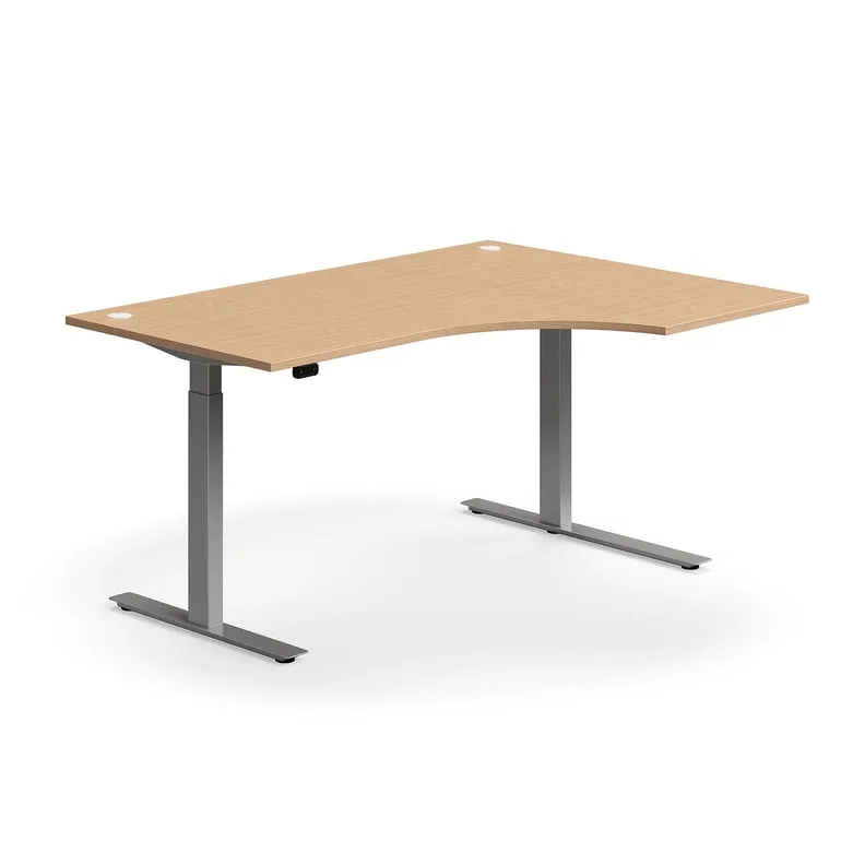 FLEXUS Standing desk — product image 3